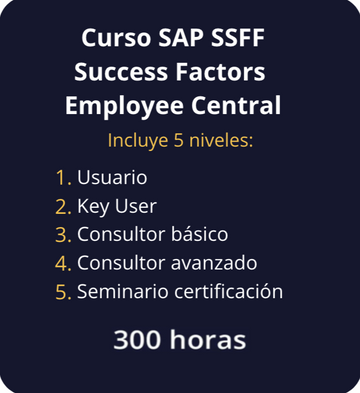 SAP SSFF - Curso Completo